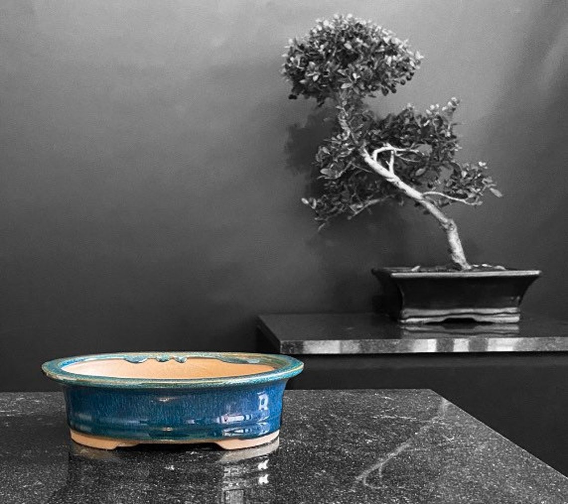 BONSAI POT & Tray Small Plant Pot Indoor or Outdoor Pots Etsy