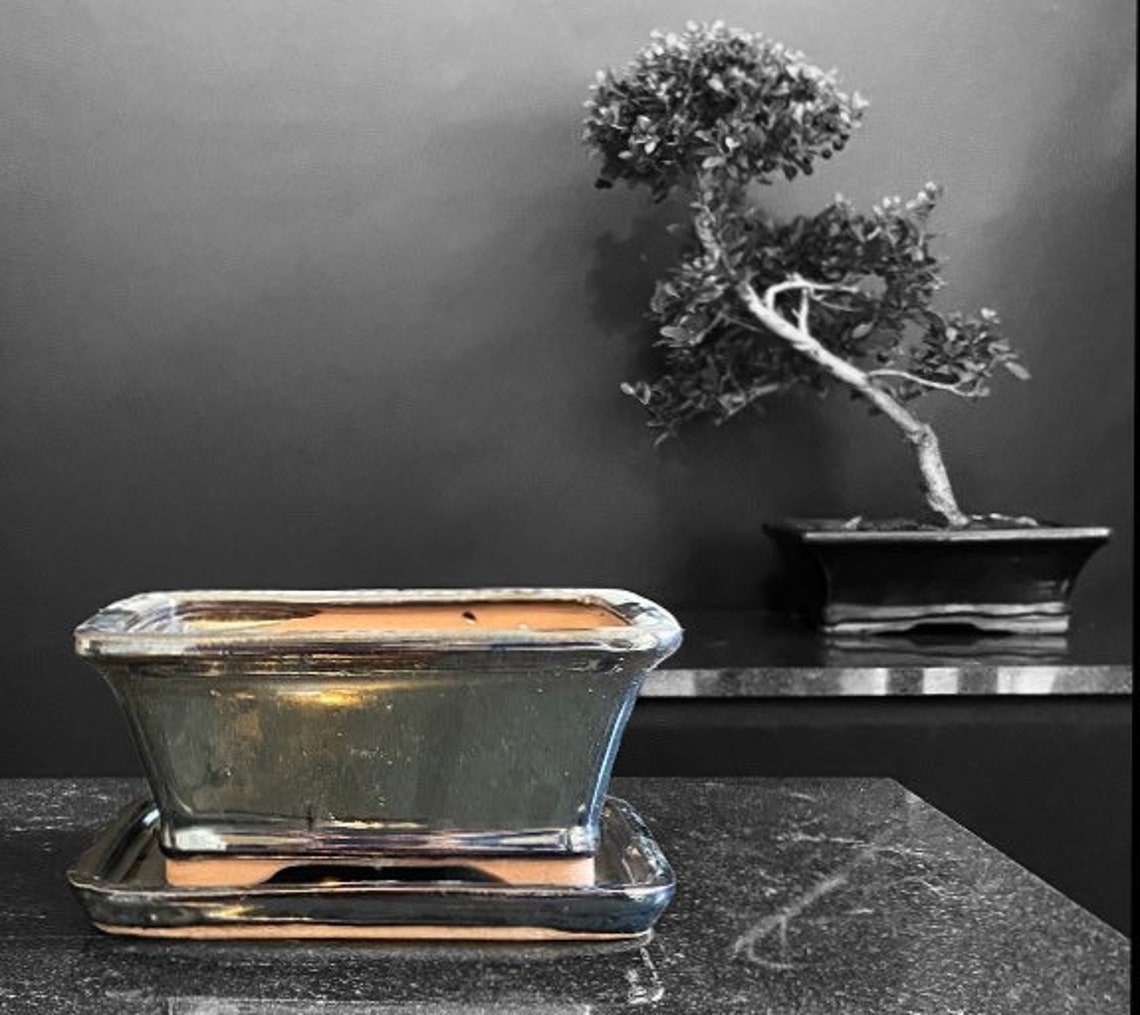 BONSAI POT & Tray Small Plant Pot Indoor or Outdoor Pots Etsy