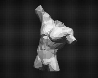 Archivo digital del modelo de impresión 3D de torso masculino de baja poligonización