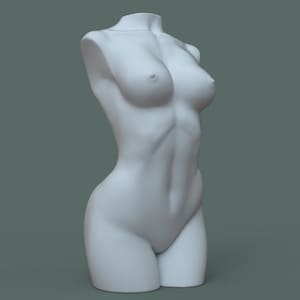 Female Torso 3D Stl for 3D Printer Digital File