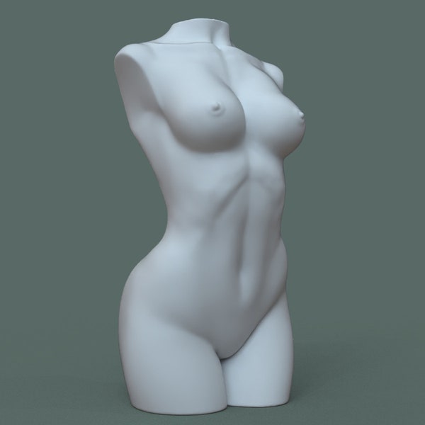 Female Torso 3D Stl File