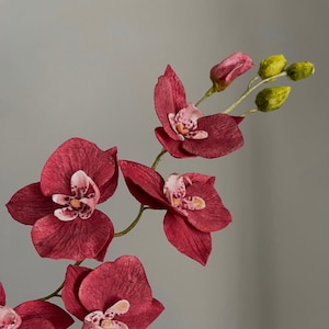 Wafer Paper Flower, Burgundy Orchid for Cake Decoration,  Wedding Cake Topper, Edible Cake Decoration