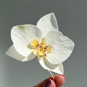 Wafer Paper Flower, White Orchid Flower for Cake Decoration, Edible Cupcake Topper, Wedding Cake Decoration