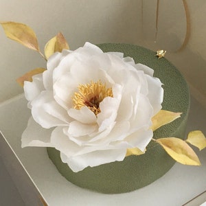 May include: A green cake with a white peony flower on top, in a white box.