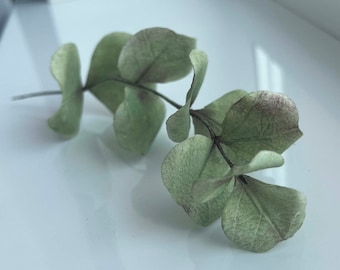 Wafer Paper Eucalyptus Branch - Edible Flowers for Cake, Wedding Cake Topper, Cupcake Decor