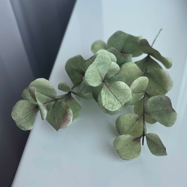 Wafer Paper Eucalyptus, 3 branches, Wafer Flowers for cake decoration