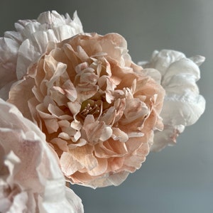 Oblea de papel de oblea con peonía de melocotón: adorno comestible para tartas