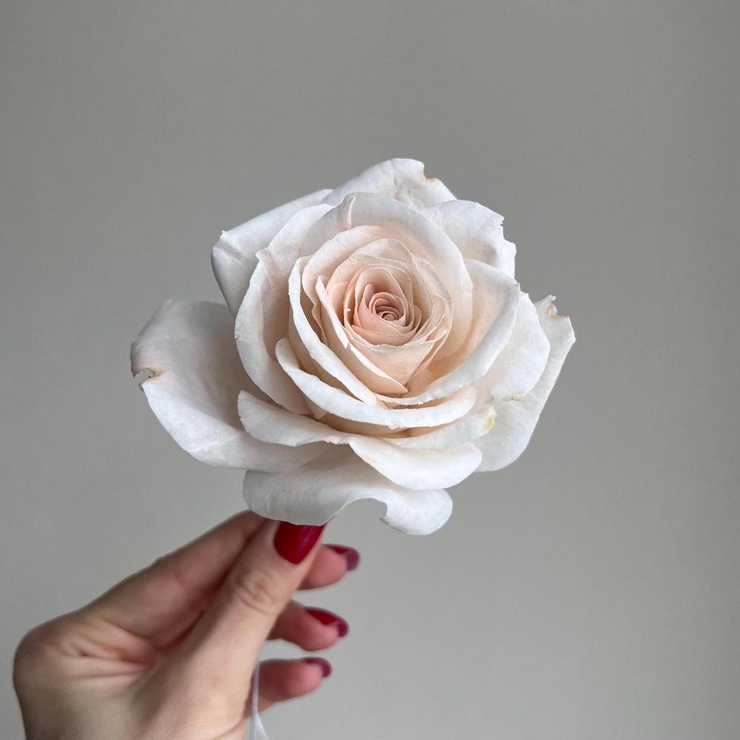 Ivory Wafer Paper Rose: Edible Cake Flower, Wedding Cake Decoration - Etsy