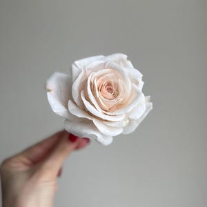 Ivory Wafer Paper Rose: Edible Cake Flower, Wedding Cake Decoration - Etsy