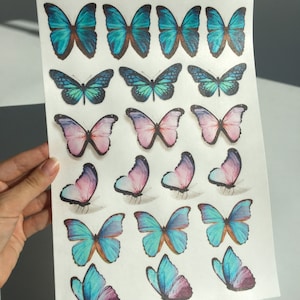 Pink&Neon Blue Wafer Paper Butterflies, 20 pcs, Edible Cake Topper
