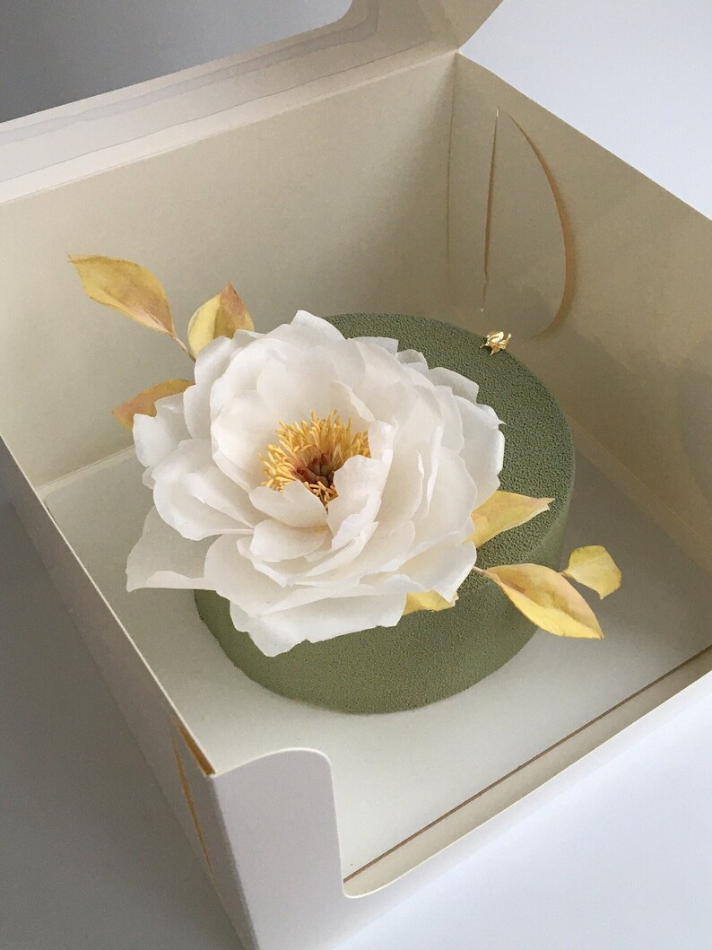 May include: A green cake with a white peony flower on top, in a white box.