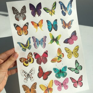 Mix of Colorful Tropical Wafer Butterflies, 24 pcs, Edible Cake Topper