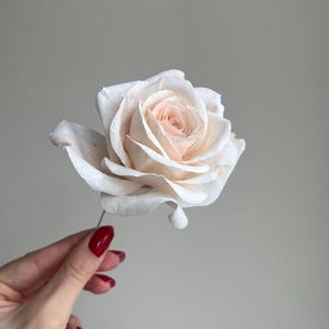 May include: A single artificial rose with delicate, pale cream-colored petals that transition to a soft, light peach hue toward the center. The flower features layered, slightly curled petals and is attached to a thin, slender wire stem.