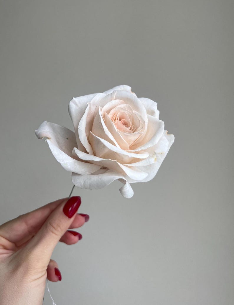 May include: A single artificial rose with delicate, pale cream-colored petals that transition to a soft, light peach hue toward the center. The flower features layered, slightly curled petals and is attached to a thin, slender wire stem.