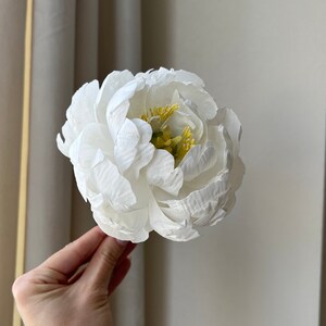 May include: A single white peony flower with yellow center. The flower is held in a hand.