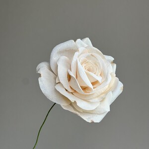 May include: A single off-white rose with layered, delicate petals and a thin green stem. The flower displays soft cream tones with subtle hints of light brown discoloration on the edges of some outer petals, showcasing a realistic floral appearance.
