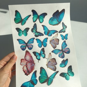Mix of Blue Wafer Paper Butterflies, 19 pcs, Edible Cake Topper
