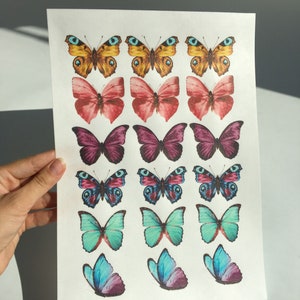 Mixed Colorful Garden Wafer Butterflies, 18 pcs, Edible Cake Topper