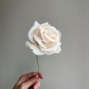 May include: A single cream-colored rose with layered, delicate petals and a thin green stem. The flower features a soft, off-white hue with subtle variations in tone across the petals, creating a realistic appearance of a blooming rose blossom.