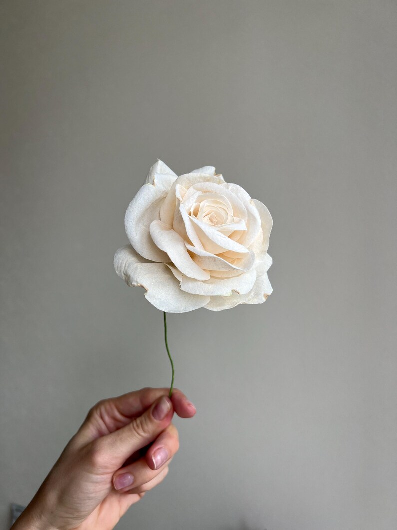 May include: A single cream-colored rose with layered, delicate petals and a thin green stem. The flower features a soft, off-white hue with subtle variations in tone across the petals, creating a realistic appearance of a blooming rose blossom.