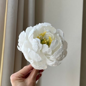 May include: A single white peony flower with yellow center. The flower is held in a hand.