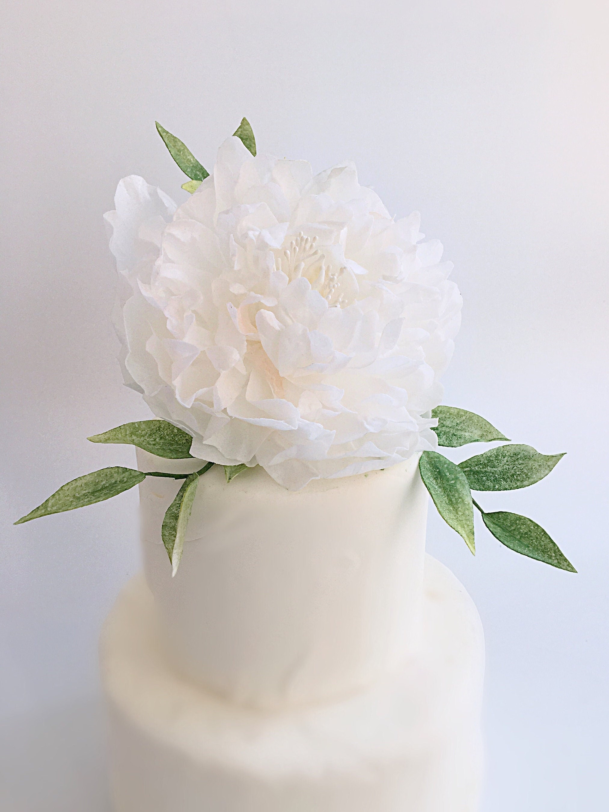 Peony Wafer Paper Cake Floral Border Wrap for Cake Decorating. Edible Paper  to Wrap a Cake Tier With Magenta Peonies, Buttercream or Fondant 
