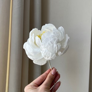 May include: A single white peony flower with a yellow center, held in a hand.