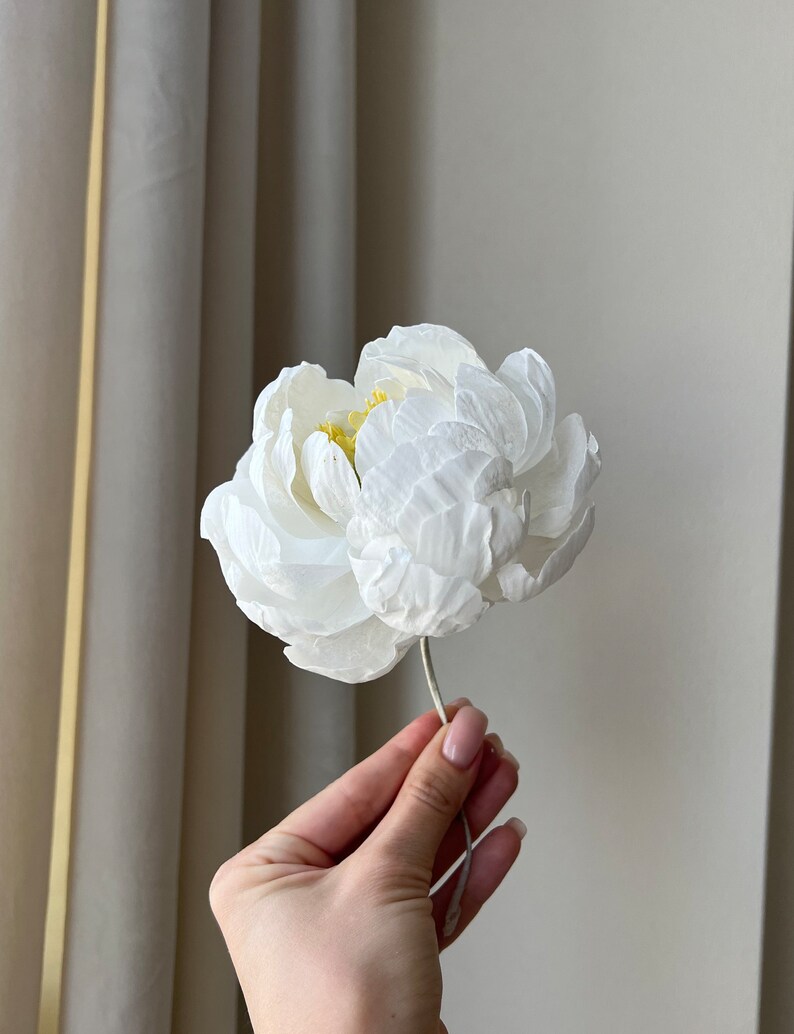 May include: A single white peony flower with a yellow center, held in a hand.