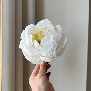 May include: A single white peony flower with yellow center. The flower is held in a hand.