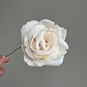 May include: A single cream-colored rose with layered petals and a thin green stem. The flower features soft, off-white tones with subtle hints of light beige toward the center of the bloom, showcasing a natural, delicate, and realistic appearance.
