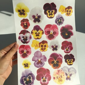 Mezcla de flores de papel de oblea de colores, 24 piezas, adorno comestible para tarta