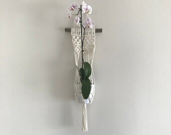 Macrame Plant Hanger with Tassels: Boho Wall Decor