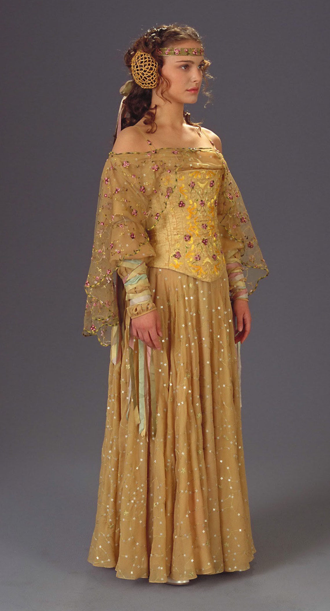 Padme Amidala Picnic on Naboo Gown Inspired Rose Eucalyptus | Etsy