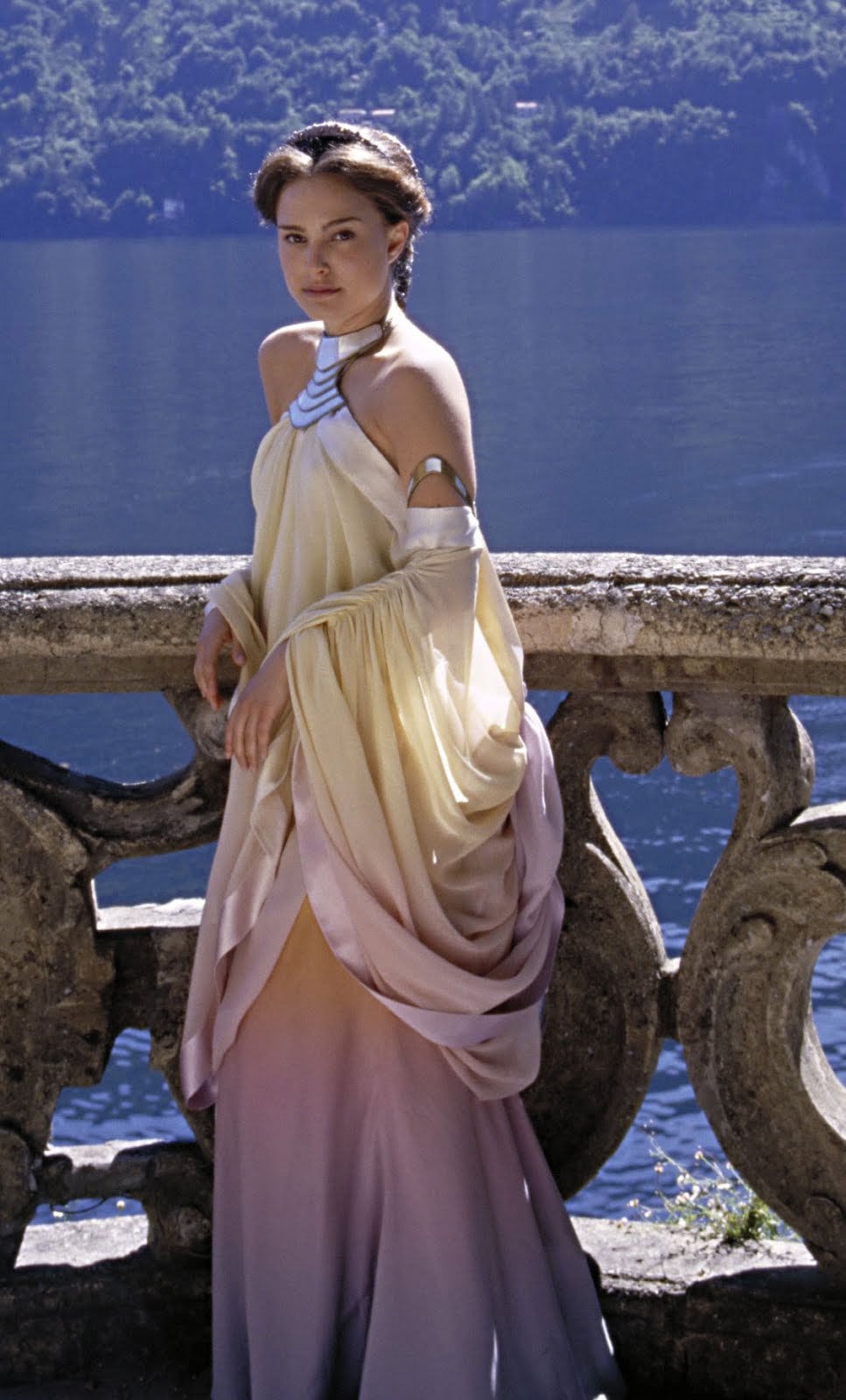 padme-naboo-lake-dress-inspired-rose-eucalyptus-hanging-etsy