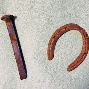 Może przedstawiać: Zardzewiała podkowa i duży gwóźdź z kwadratową główką. Podkowa jest zakrzywiona i ma kilka otworów na gwoździe. Gwóźdź jest prostokątny z teksturowaną powierzchnią. Oba przedmioty są brązowe i wyglądają na stare.