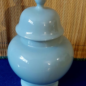 Może przedstawiać: Jasnoniebieski ceramiczny słoik na imbir z pasującą pokrywką. Słoik ma zaokrąglony korpus i podstawę na cokole. Pokrywka zwieńczona jest małym, zaokrąglonym guzikiem. Słoik jest prezentowany na neutralnym tle.