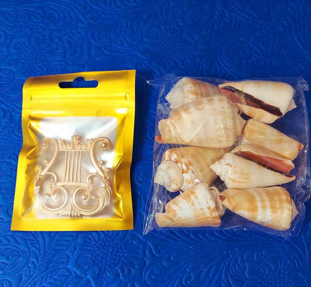 Muddatli harbiy xizmatchilarni ko‘rikdan o‘tkazayotgan qizlar videosi