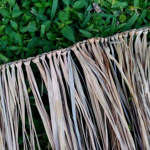 Może przedstawiać: Zbliżenie naturalnego, tkanego materiału strzechy z długimi, wysuszonymi, beżowymi liśćmi. Strzecha jest przymocowana do tkanej krawędzi. Tło to zielona trawa.