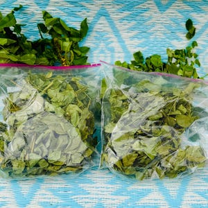 May include: Two clear plastic bags filled with green leaves, likely herbs or vegetables, are displayed on a blue and white patterned surface. The bags are sealed with a pink zipper. Fresh green leaves are scattered around the bags.