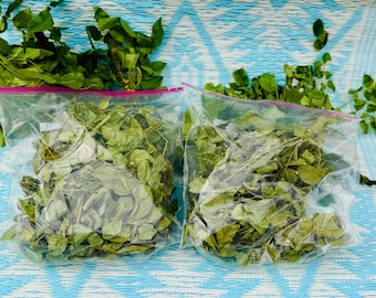 May include: Two clear plastic bags filled with green leaves, likely herbs or vegetables, are displayed on a blue and white patterned surface. The bags are sealed with a pink zipper. Fresh green leaves are scattered around the bags.