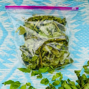 May include: A clear plastic bag filled with dried green leaves, sealed with a pink zipper. Fresh green leaves are scattered at the bottom, set against a blue and white woven mat background. The leaves appear to be moringa.