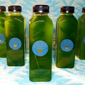 May include: A collection of clear glass bottles filled with a vivid green liquid, each with a black cap. The bottles feature blue and gold circular labels. They are arranged on a light blue and white patterned surface.