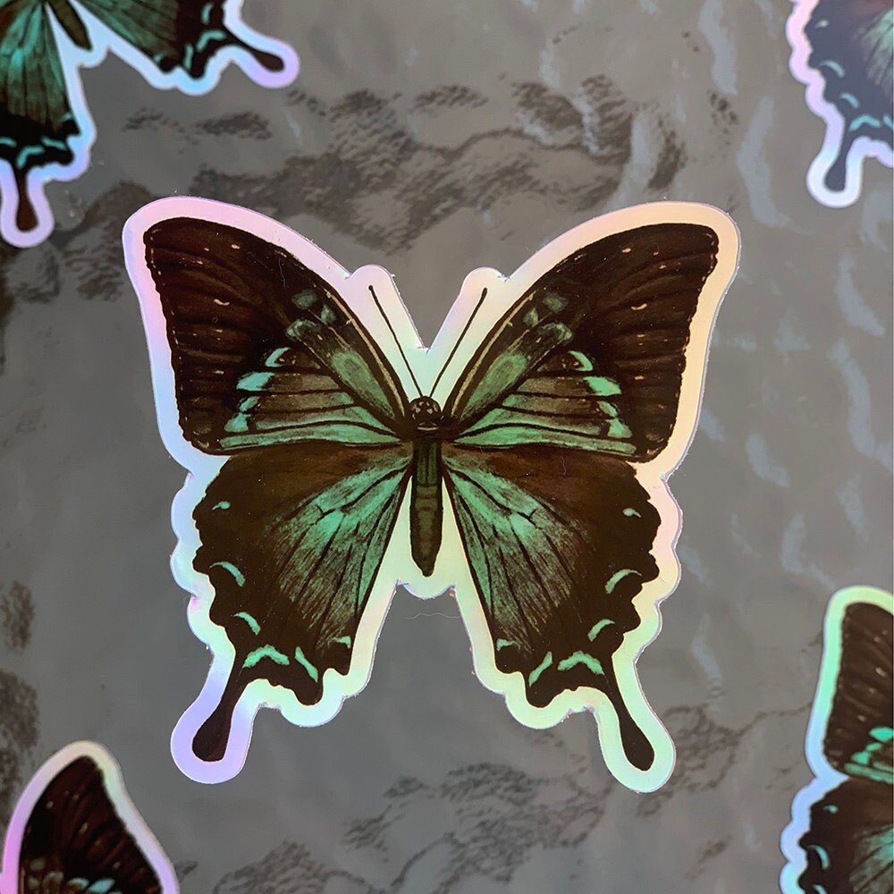 holographic blue butterfly waterproof sticker