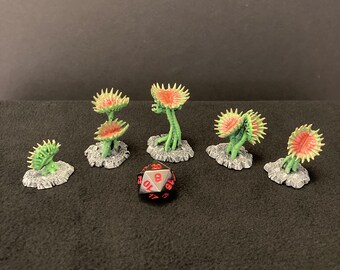 Giant Venus Fly Trap - Etsy
