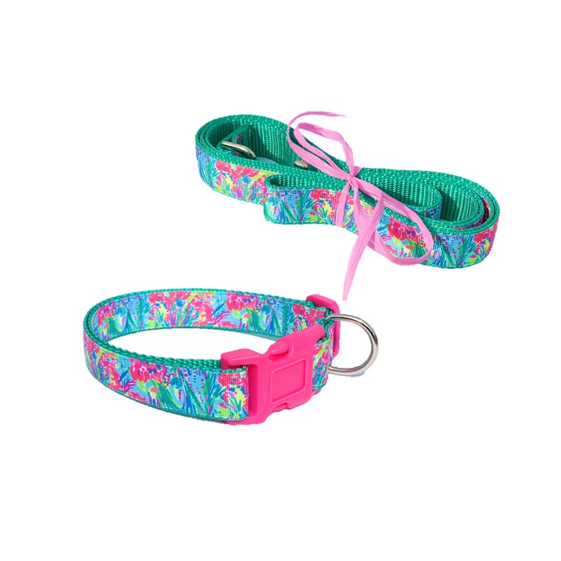 May include: A green and pink patterned dog collar and leash set. The collar has a pink plastic buckle and a silver D-ring. The leash is tied with a pink ribbon.