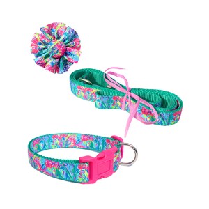 Fancy Dog Collar and/or Leash on Teal | Sizes XXS to XL