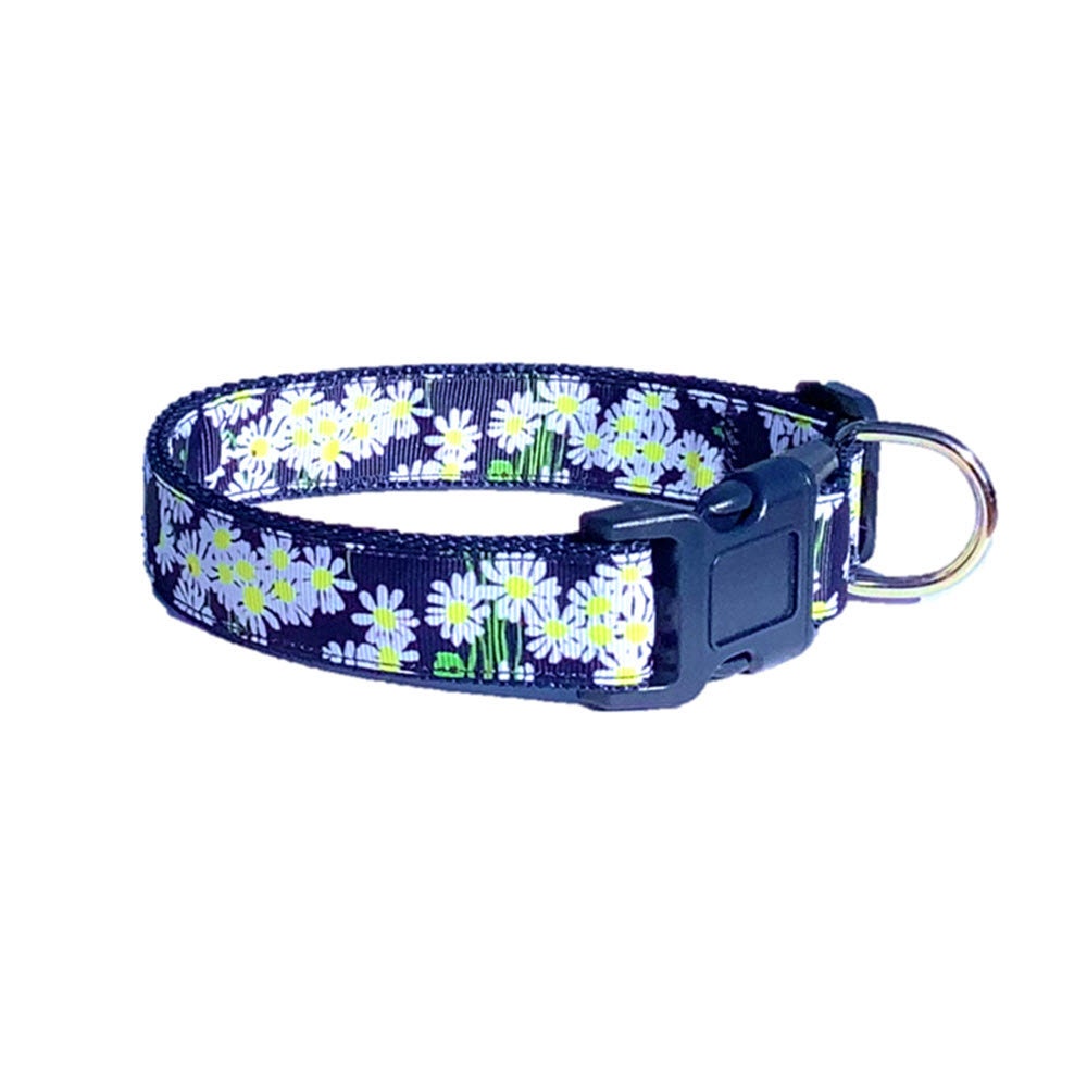 Daisies Dog Collar and/or Leash on Navy Blue | Sizes S to XL