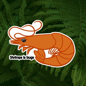 Shrimp, "Shrimps is bugs" meme, funny, paper sticker, made to order