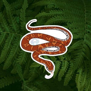 Red rat snake, corn snake, reptile paper sticker, made to order, tank decor, enclosure decoration