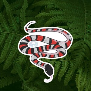 Honduran milk snake reptile paper sticker, made to order, tank decor, enclosure decoration